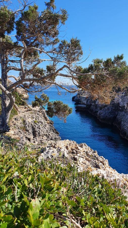 Villa Sirena Cala'N Blanes  Екстериор снимка